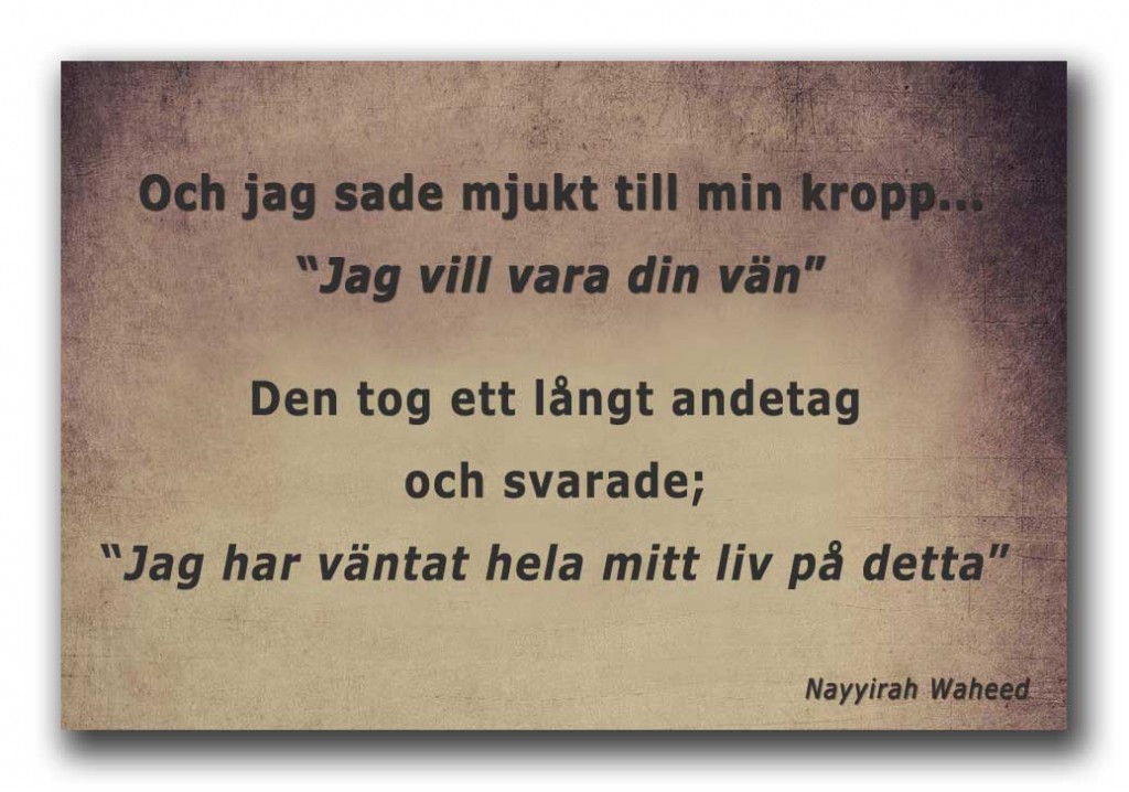 dalaI_jag_vill_vara_friend1